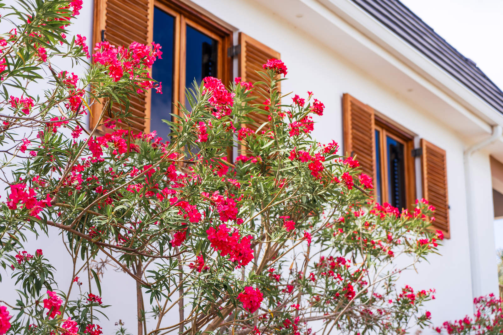 At Home with PINK — Behind the colour a strong Team